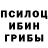 Псилоцибиновые грибы Magic Shrooms Kazi Hamidoglu