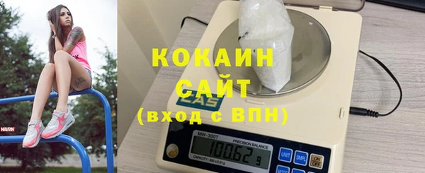 твердый Вяземский