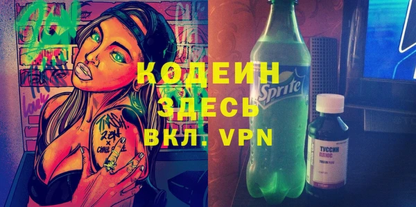 твердый Вяземский