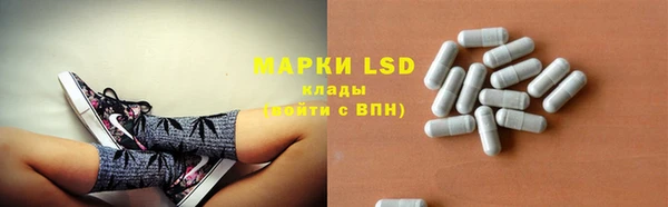 твердый Вяземский