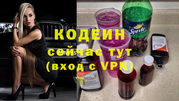 твердый Вяземский