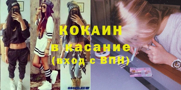 твердый Вяземский