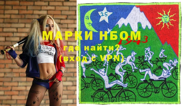 твердый Вяземский
