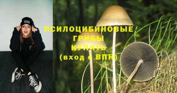твердый Вяземский